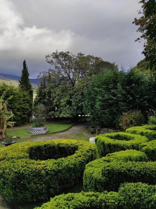 Casa De Indianos, Una Experiencia Unica En El Centro De Cantabria San Vicente de Toranzo Buitenkant foto